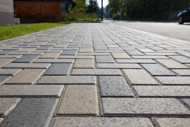 Best Interlocking Driveway Pavers  in Mascotte, FL