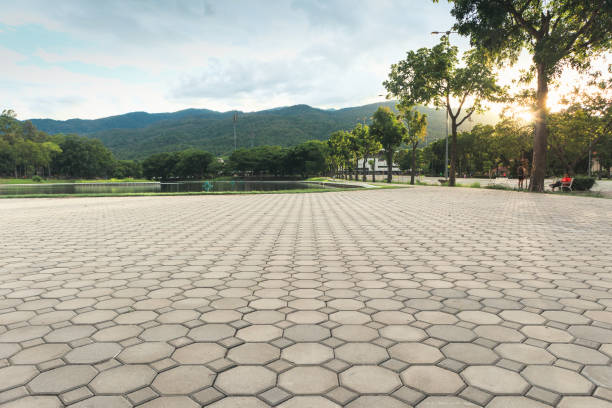Best Driveway Pavers Near Me  in Mascotte, FL